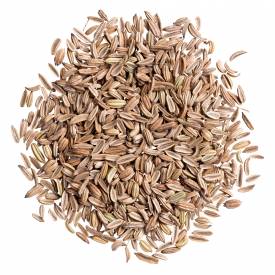 Fennel, sweet, essential oil
